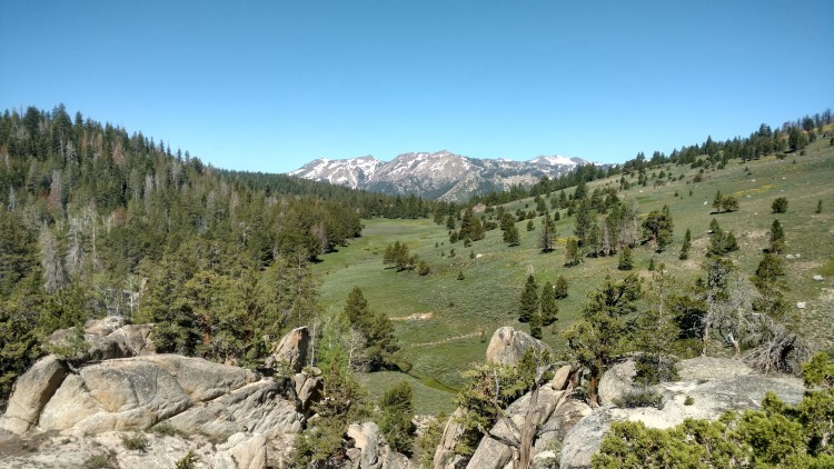 IMG_20230701_102521542_HDR.jpg