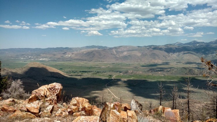 IMG_20230701_143417108_HDR.jpg