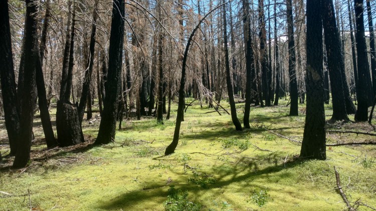 IMG_20230701_140435964_HDR.jpg