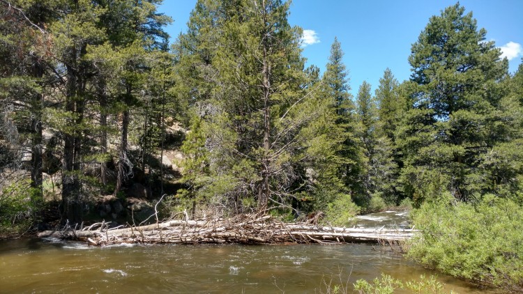 IMG_20230701_121658765_HDR.jpg