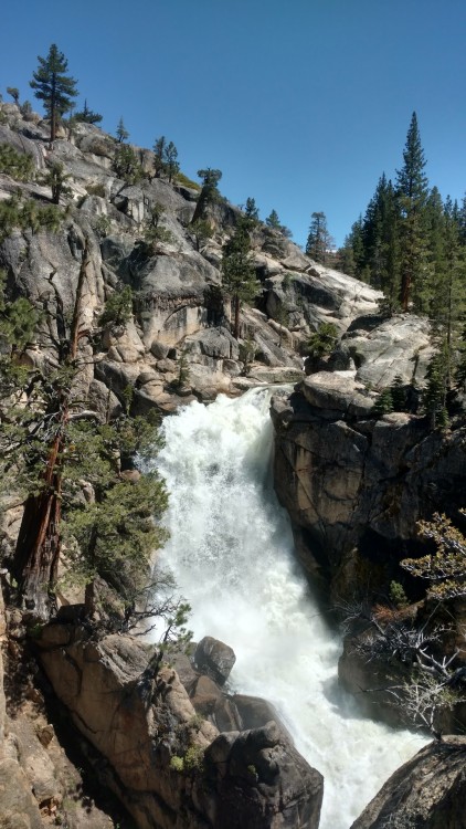 IMG_20230630_144755675_HDR.jpg