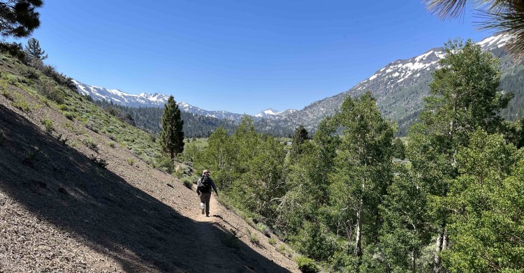 The classic Leavitt Meadow view toward Tower Peak.