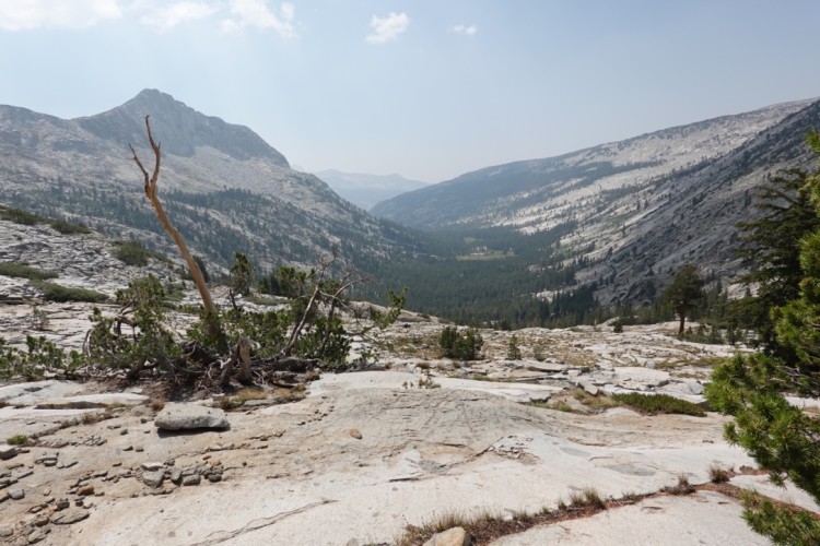 Down-canyon view in Lyell Fork of the Merced