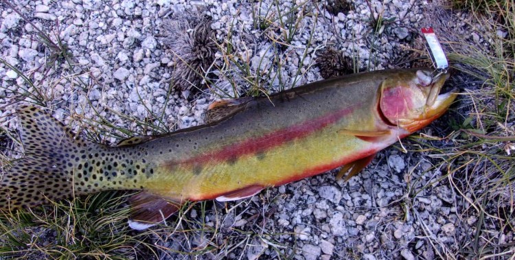 100_3402.jpg