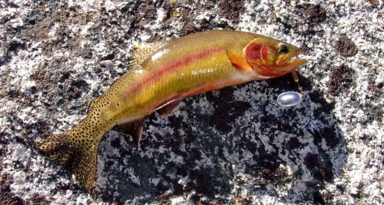 100_3406.jpg