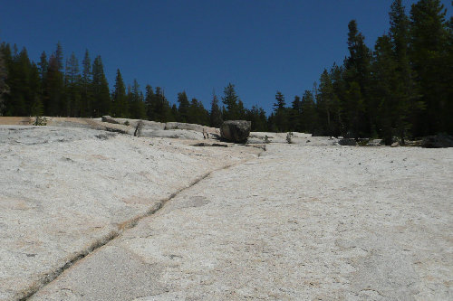 Slab next to Forester Creek--easy going