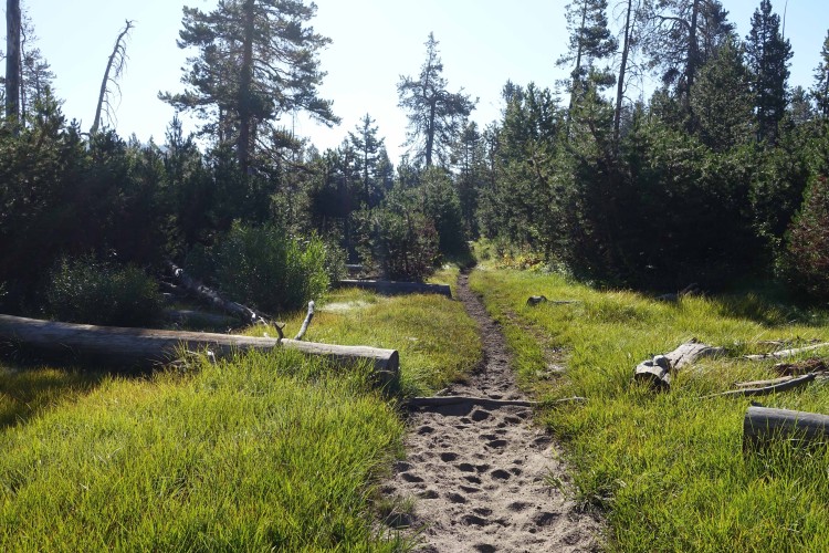 The healing burn zone