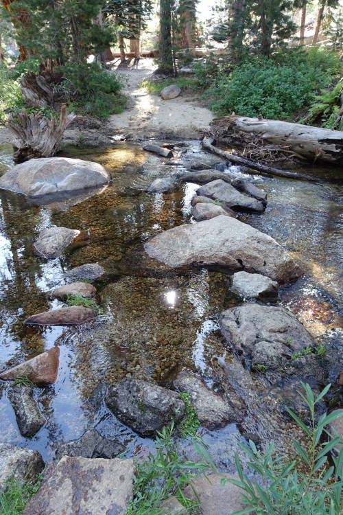 Stepping stones over Lily Creek