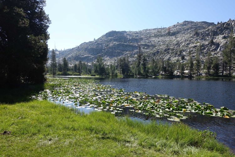 Grouse Lake in the morning