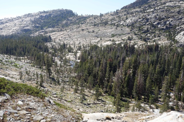 Looking south into Louse Canyon from Rosasco ascent