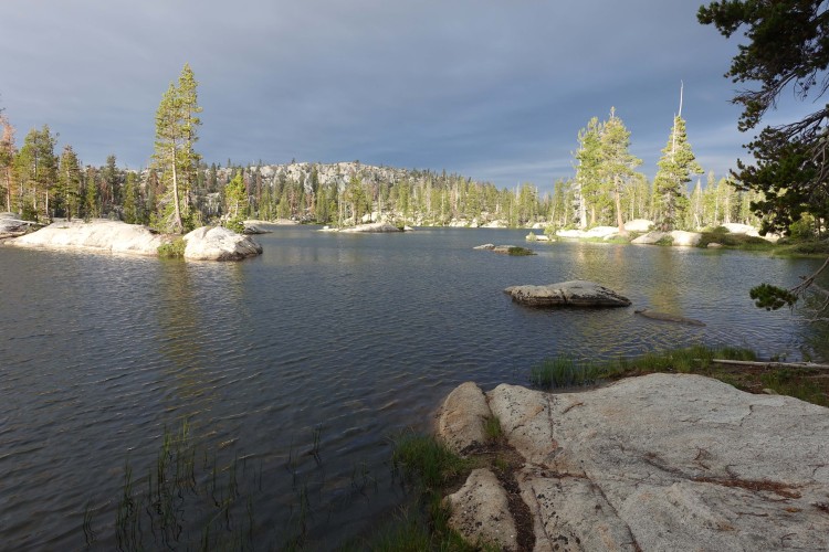 Pingree at dawn: my last sun
