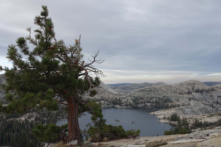 Big Lake from above under grey skies