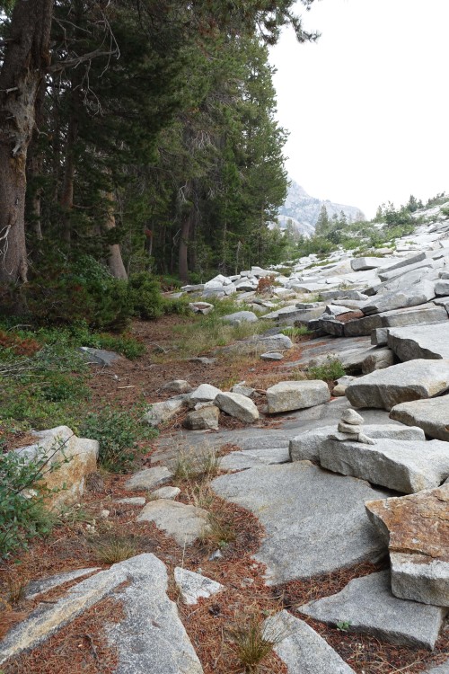 Huckleberry Trail at a better point
