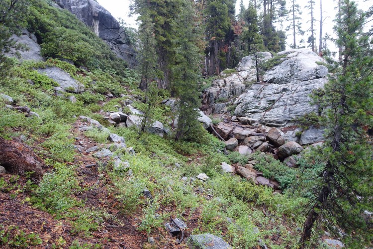 On the old trail from SW Huckleberry up to Letora