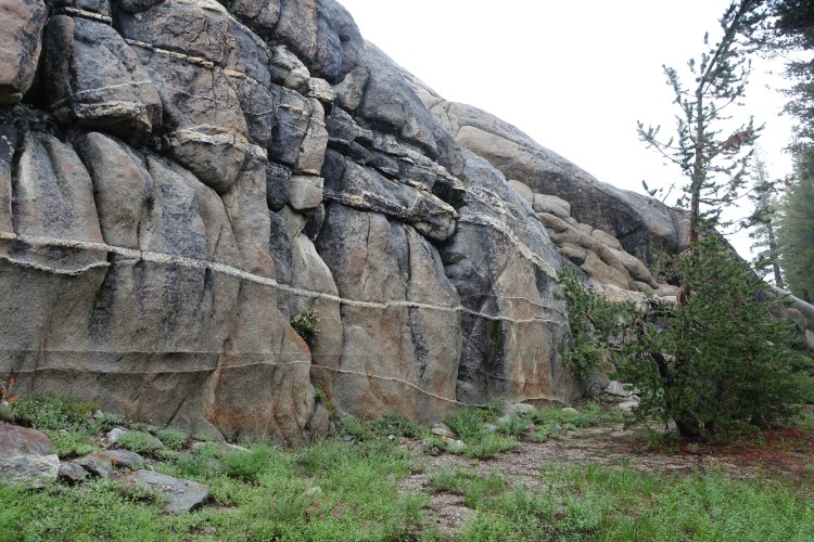 Typical stretch of the seldom used trail