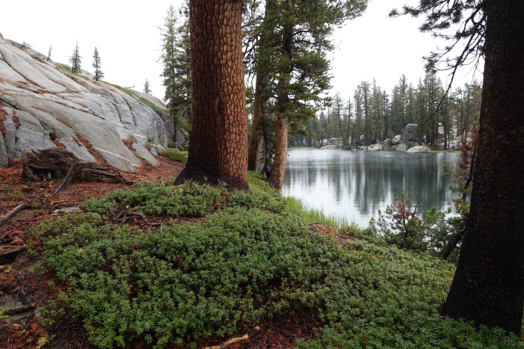 The pretty unnamed lake near the top of the trail
