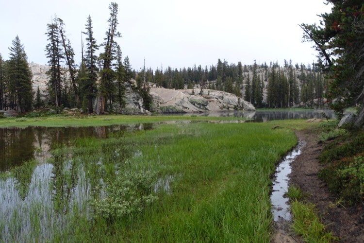 Wet trail by Wood Lake