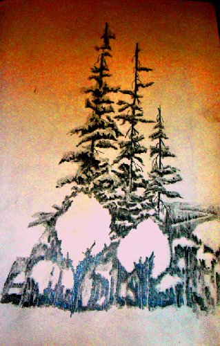 tuolumne 005.jpg