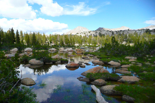 Tarn enroute to Harriet Lakes