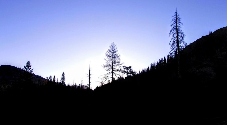 100_3719.jpg
