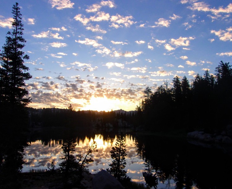 100_6274.jpg