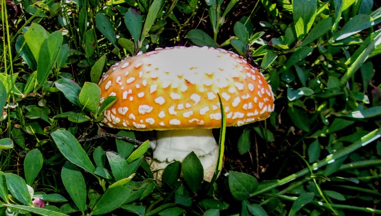 100_6259.jpg