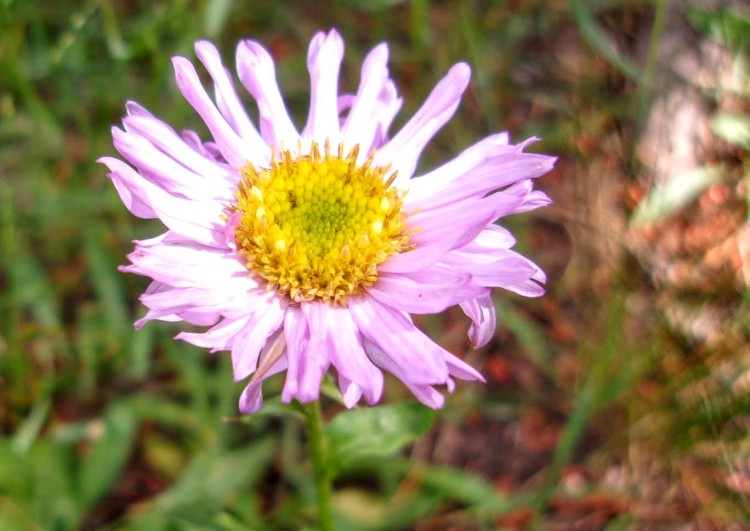 100_3572.jpg