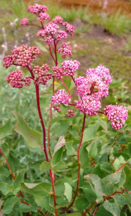 100_3567.jpg