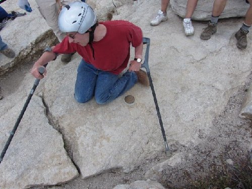 14David Bench Mark.jpg
