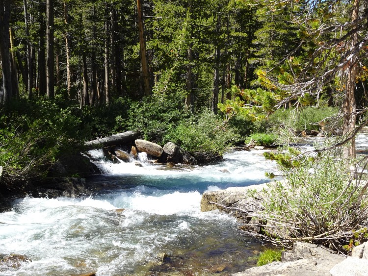 More of Piute Creek