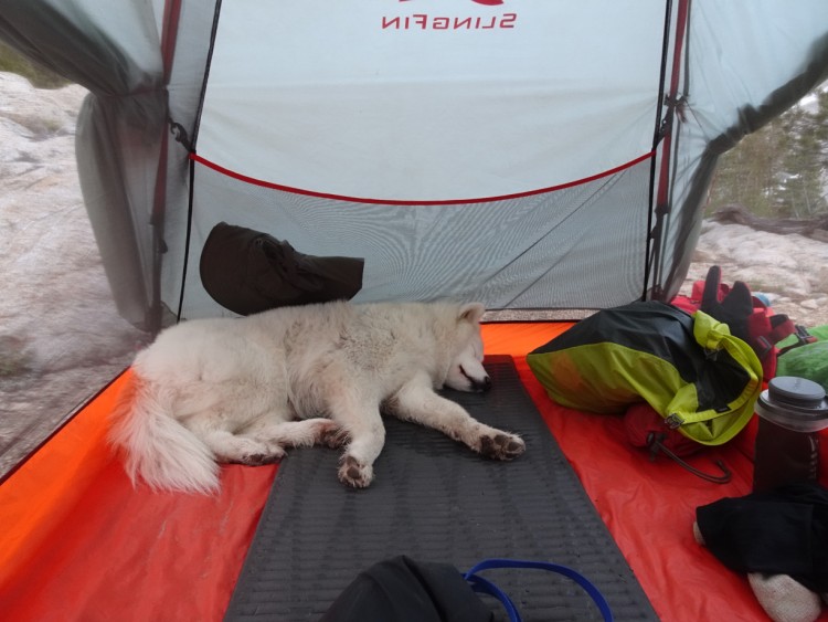 I believe that Jasmine Rose was also feeling the effects of the altitude. She also carries a full pack.