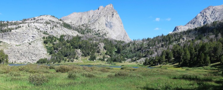 Big Sandy Lake inlet meadow