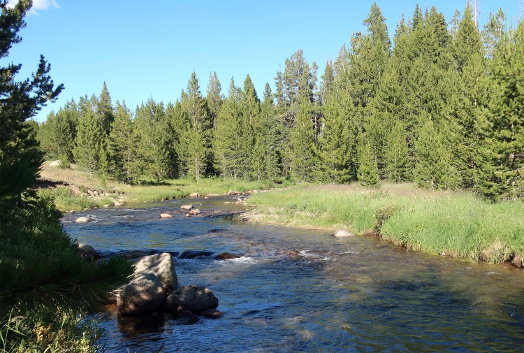 Big Sandy River upstream from camp