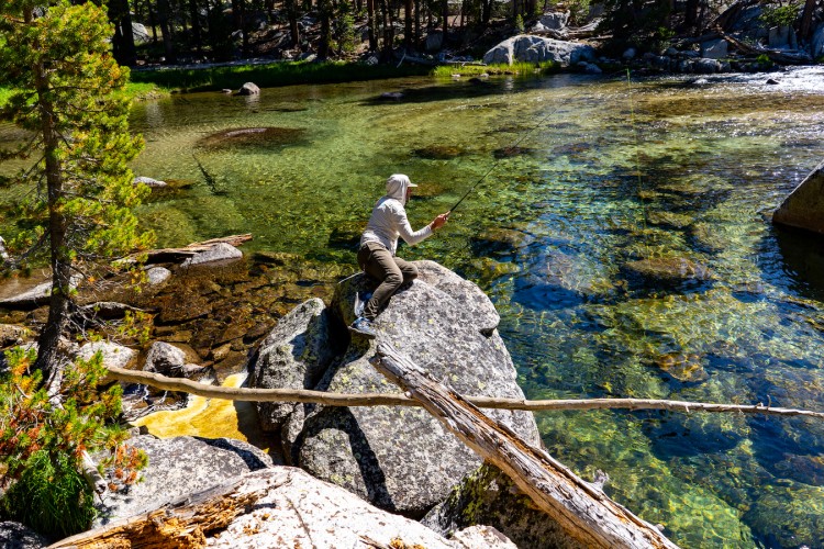 Evolution Creek