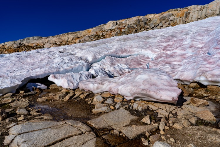 LamarckColToPaiutePass-05931.jpg