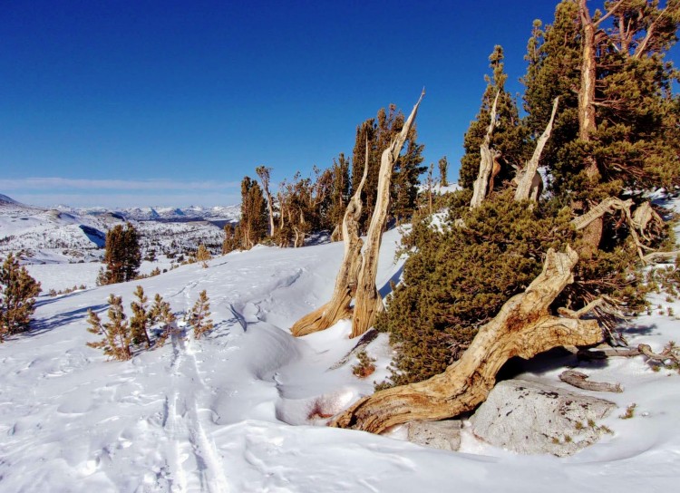 100_0224.JPG