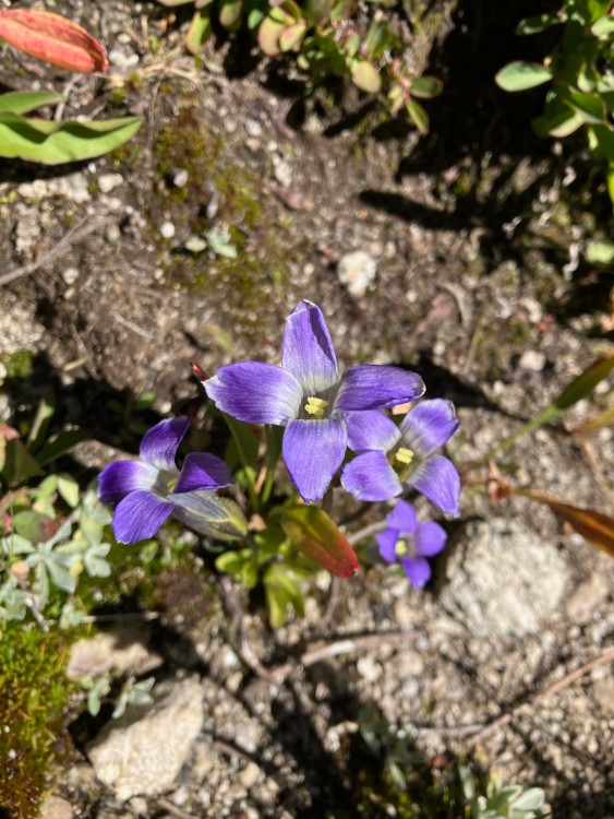 IMG_4753.jpg