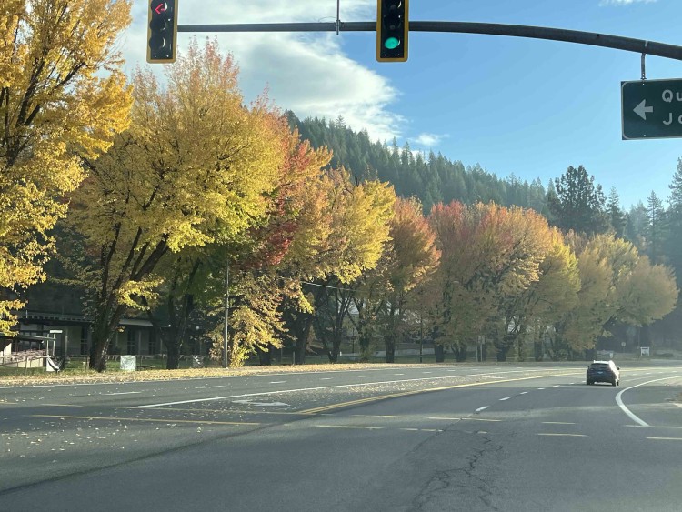 Here is our view leaving Quincy of more color; this area reminded me alot of the Pacific NW in fall; it made me think of my last fall visit to Seattle.