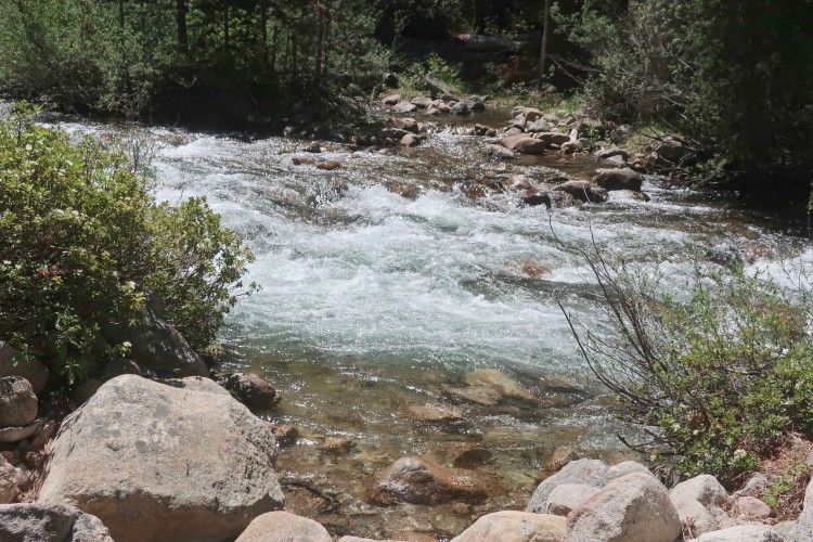 Palisade Creek crossing  6/11/22