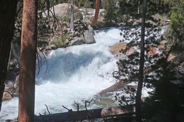 MF Kings before the confluence with Palisade Creek