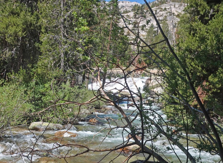 Confluence Palisade-Kings