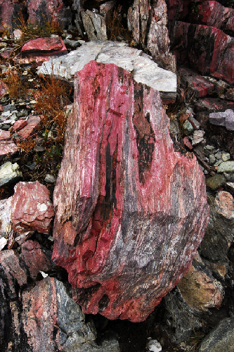 red rock72.jpg