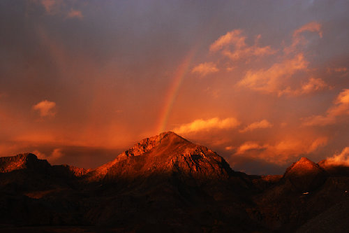 Mt. goddard 272.jpg