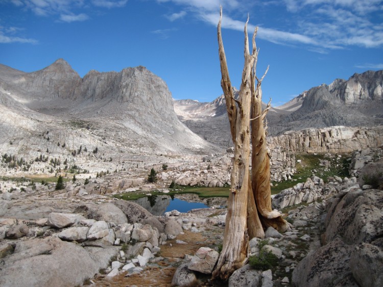 tarn, miter basin