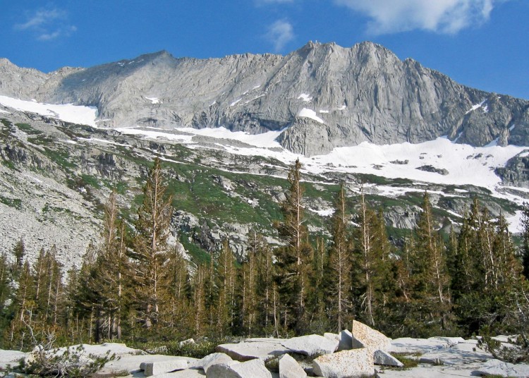 south slope below Mt Stewart  7/11/06