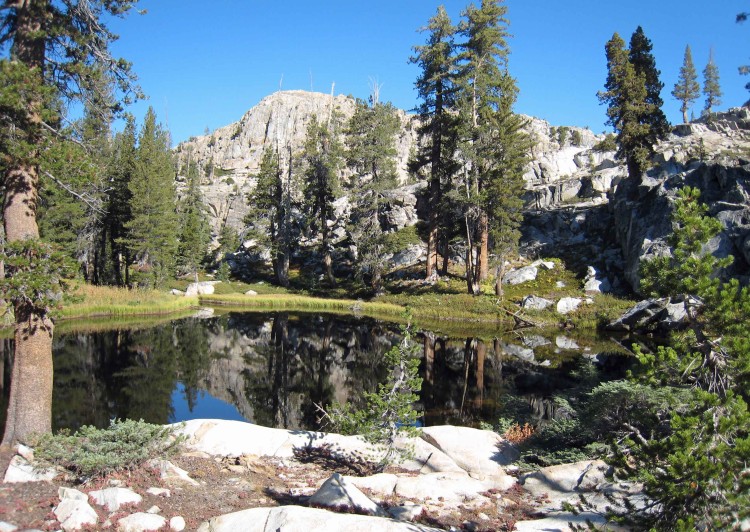 I think this is a pond near Fern Lake