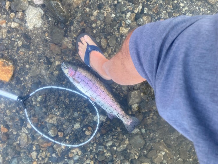 Grant Lake Rainbow 21inches 063024.JPG