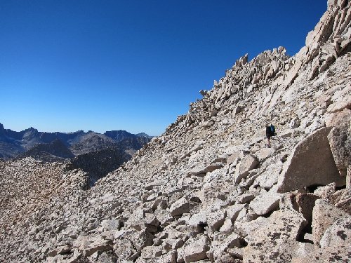 donn at haeckel col