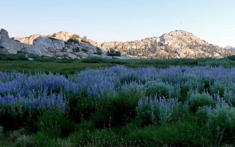 View near camp at Middle Emigrant Lake