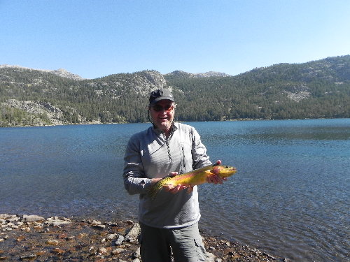 Big Golden Trout